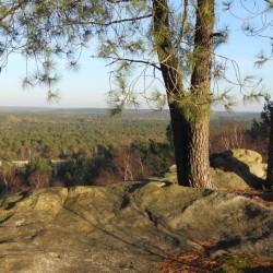 Forêt de Fontainebleau